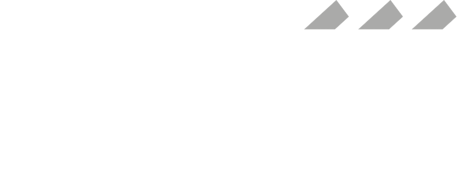 Logo LSR weiß-grau